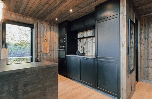 Gol Municipality House | Modern mountain cabin near Syningtoppen