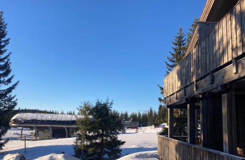Ringsaker Apartment | Modern ski-in out apartment at Sjusjøen