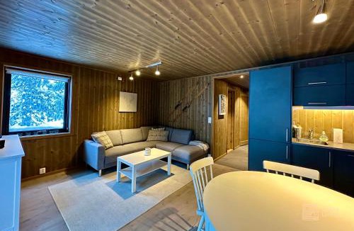 Ringsaker Apartment | Modern ski-in out apartment at Sjusjøen