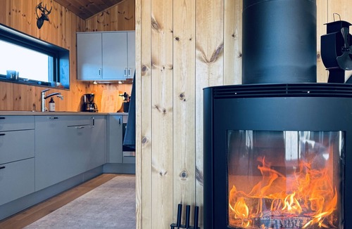 Hol Municipality Apartment | Moderne leilighet i Vestlia . Ski in ski out