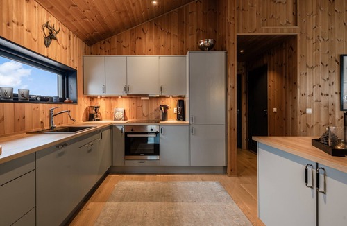 Hol Municipality Apartment | Moderne leilighet i Vestlia . Ski in ski out