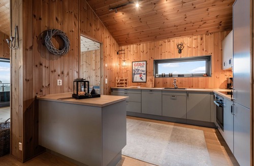 Hol Municipality Apartment | Moderne leilighet i Vestlia . Ski in ski out