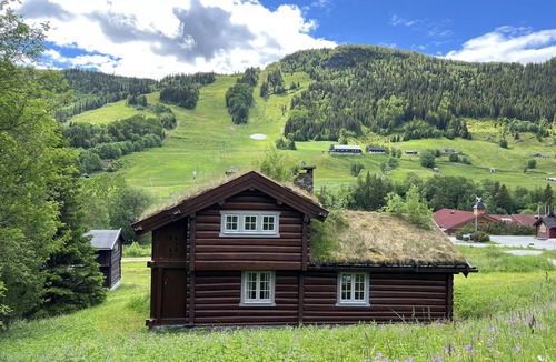 Al Cottage | Mountain cabin 8 in Ål with Sauna