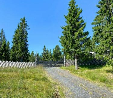Nord-Aurdal House | Mountain Cabin At End Of Quiet Road Near Tisleia