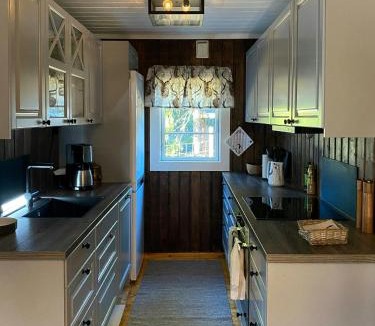 Nord-Aurdal House | Mountain Cabin At End Of Quiet Road Near Tisleia