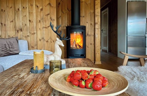 Nes House | Mountain Cabin Nesfjellet Sauna, Hot Tub & Skiing