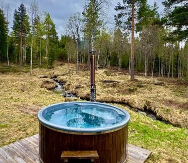 Nes House | Mountain Cabin Nesfjellet Sauna, Hot Tub & Skiing