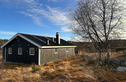 Nore og Uvdal House | Mountain Cabin With Magical Views At Dagalifjell