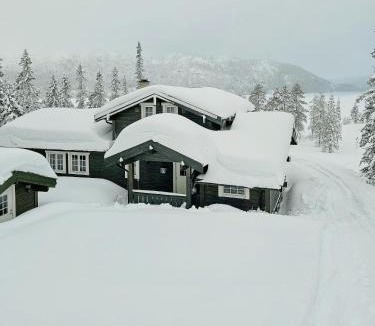 Hjartdal House | Mountain Cabin With Views Of Bonsenås
