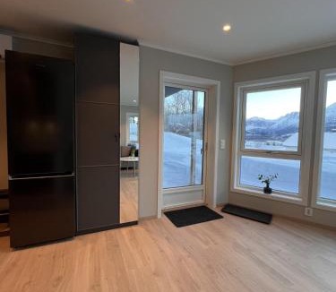 Isfjorden Apartment | Mountain View apartment