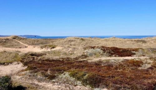 Mellbystrand House | Mysig strandstuga