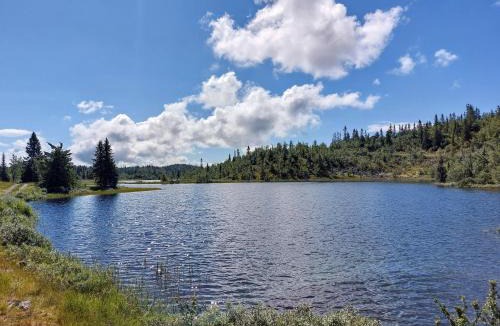 Nord-Aurdal Apartment | Naturopplevelser året rundt i Valdres Ski in out Panoramautsikt