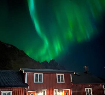 Ballstad Apartment | Naustplassen Rorbuer