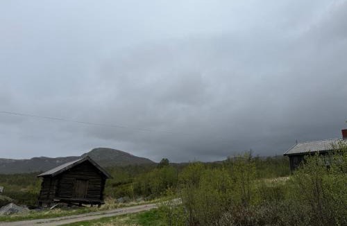 Nore og Uvdal House | Nedre Flaata Seter