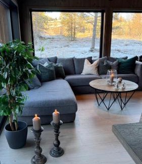Hovden Ski Chalet | New cozy mountain cabin at Hovden Ski-in Ski-out