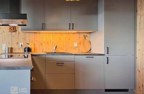 yer Apartment | New modern ski-in/out apartment in Hafjell
