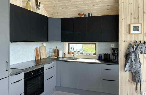 Andoy House | Newly Built Cabin On Andøya With Northern Lights