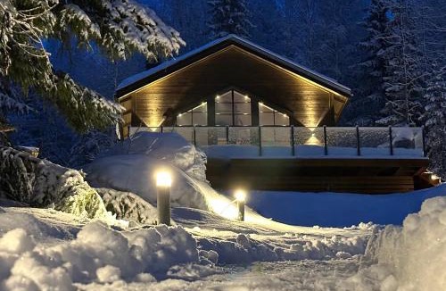 Jarvso House | Newly built cabin with sauna, fireplace and amazing view