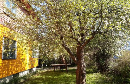Moss Municipality Apartment | Newly Renovated 2 Bedrooms Apartment - Walking distance to Everything in Moss