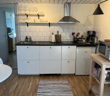 Lomma Apartment | Newly renovated recreation room in Lomma