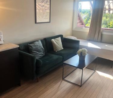 Ski Apartment | Nice and big room