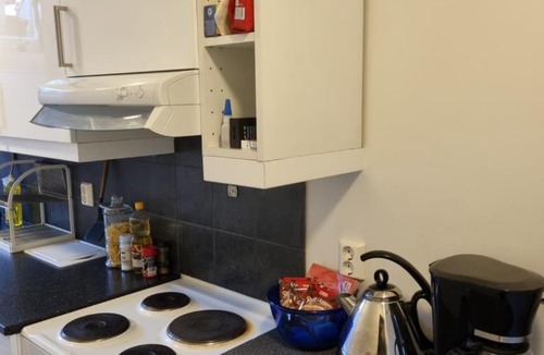 Gol Apartment | Nice appartment in city center Gol,free Wifi and electric