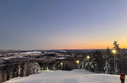 Bollnas House | Nice ski in ski out cabin