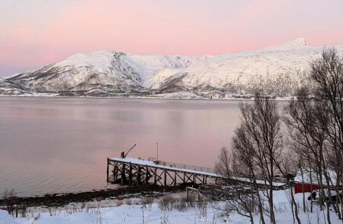 Tromso House | Nordic Sauna Retreat
