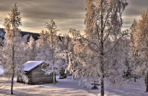 Sorsele House | NORDTREK by Interhome