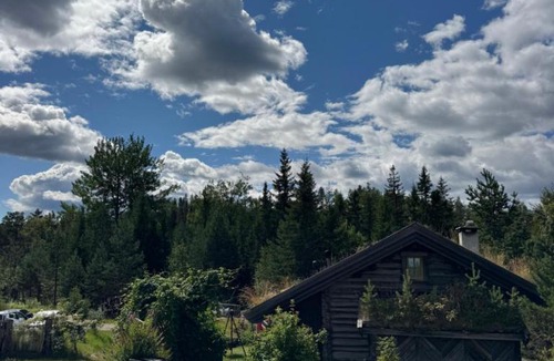 Krodsherad House | Norwegian Idyll - Authentic stay in a Log Cabin