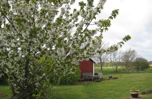 Storlinge House | Öland between windmill and nature reserve