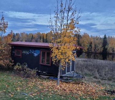 Stora Skedvi House | Old ad for tinyhouse