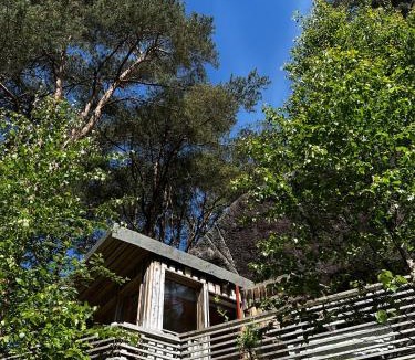 Flekkefjord Apartment | on the edge & in the bushes