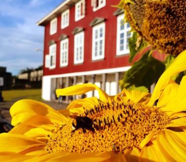 Oslo Hostel | Oslo Hostel Rønningen