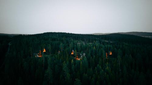 Asnes Cabin | PAN Treetop Cabins