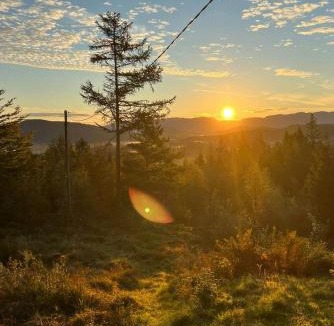 Sveio House | Panoramic Cabin With Forest And Mountain Views