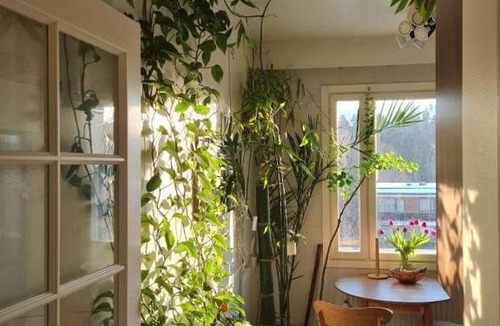 Myyrmaki House | Paradise room
