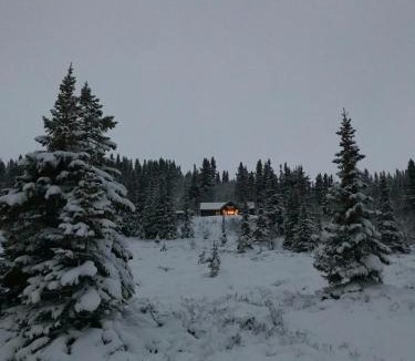 Al Municipality House | Peaceful Cabin By Rødungen