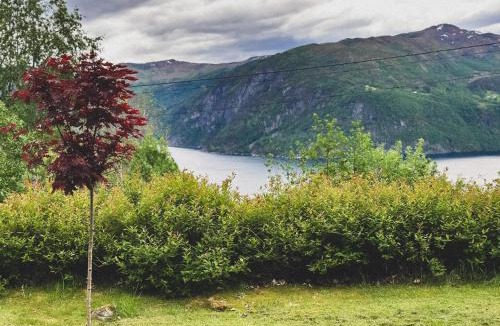 Stordal Apartment | Peaceful Fjord Hideaway close to Geiranger, Trollstigen and Ålesund