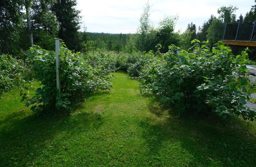 Raufoss Apartment | Perfect for business and leisure in Raufoss