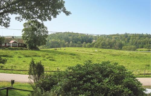 Hoor House | Pet Friendly Home In Höör With Kitchen
