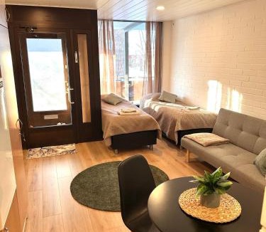 Seinajoki Apartment | Pieni yksiö keskustassa omalla sisäänkäynnillä