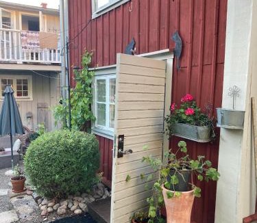 Granna House | Pinglans bakficka