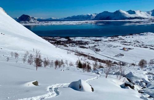 Bostad House | Quiet place with Lofotens most beautiful view 2