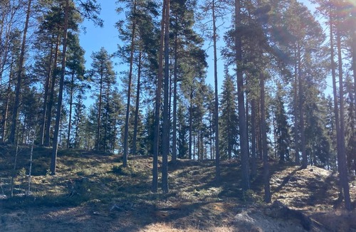 Ambjorby Villa | Röda Stugan