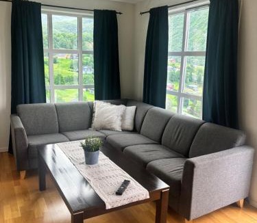 Roldal Apartment | Røldal Overnatting