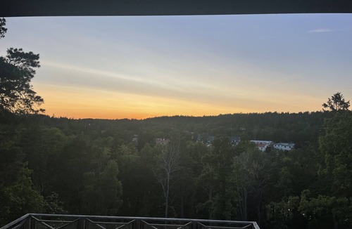 Saltsjobaden House | Refurbished 60s villa w astonishing tree top view, evening sun, close to the sea