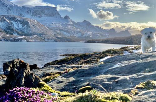 Gildeskal Ski Chalet | Remote Island Cottage Retreat in Norwegian Fjords