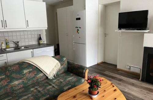 Vang Apartment | Rett ved Raudalen Alpinanlegg