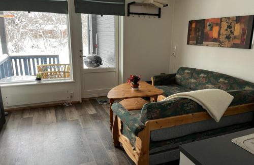 Vang Apartment | Rett ved Raudalen Alpinanlegg